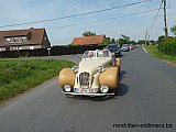 Zandlemig Vlaanderen
